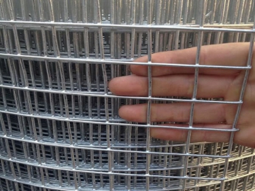 Welded Wire Mesh Rolls