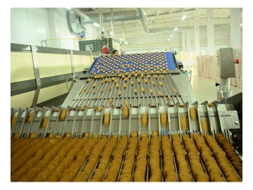 Soft Biscuit Production Line